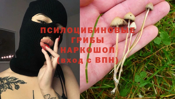 гидропоника Абдулино