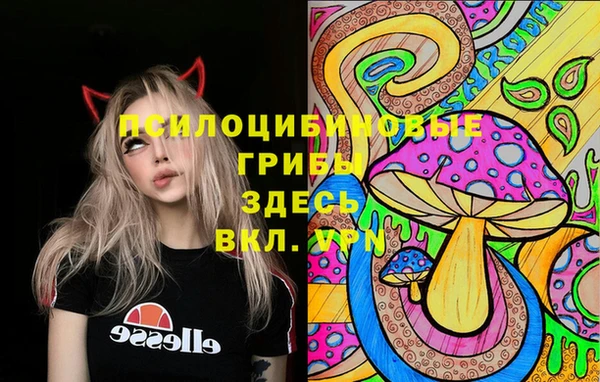 гидропоника Абдулино