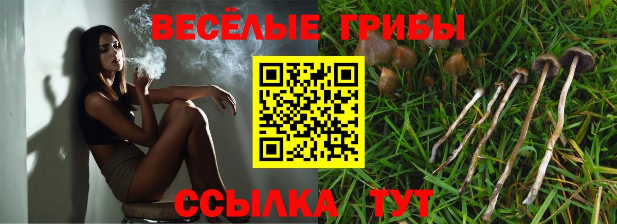 Ростов-на-Дону  Галлюциногенные грибы MAGIC MUSHROOMS  Вход с VPN 